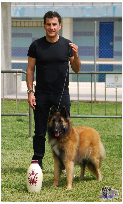 -Mil amores du bois du tot BIS